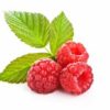 Cascadian Wild Raspberry White Balsamic Vinegar