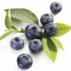 Blueberry Balsamic Vinegar
