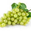 Ultra Premium White Balsamic Vinegar